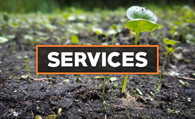 Wildlife Land Solutions Services